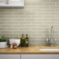 Mileto Olive Gloss Ceramic Wall Tile - 75 x 300mm