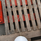 Kallisto Pendant Light