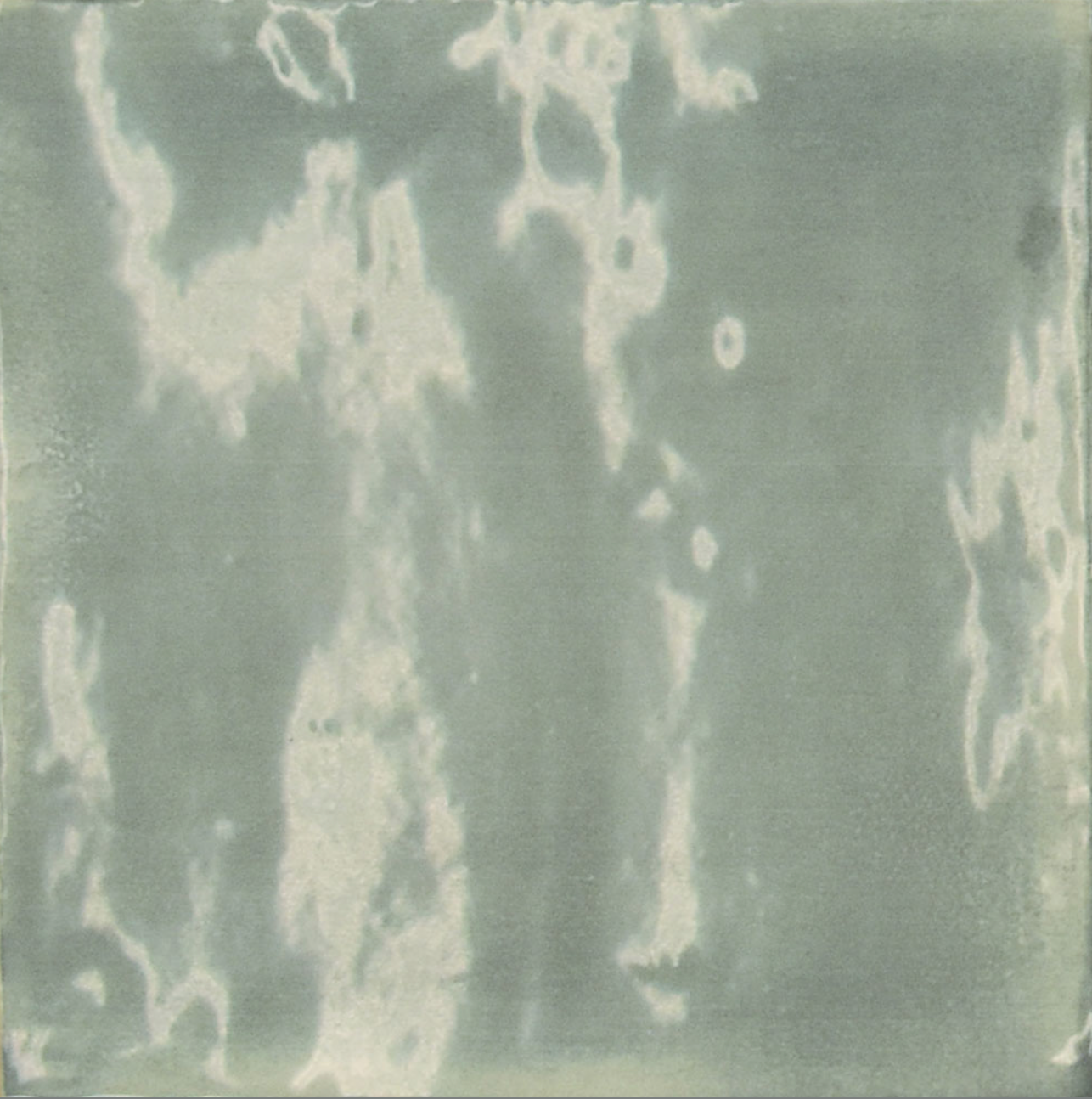 Tbox Eucalyptus Glossy, 12.5 X 12.5CM