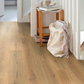 Series Woods 8mm Laminate Flooring Nature Oak