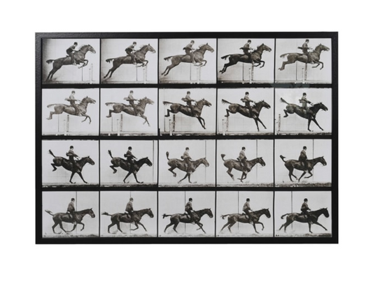 The Jump Cinematograph 103 X 73 CM