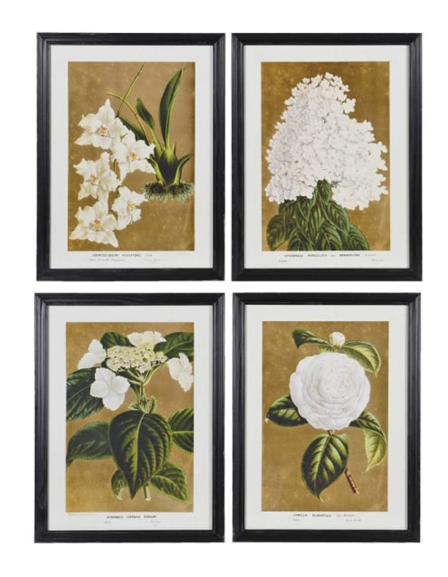 Set of 4 White Florals Wall Pictures, 60 X 45 CM