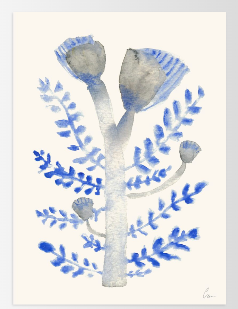 Clara Schicketanz, Januar 30x40cm