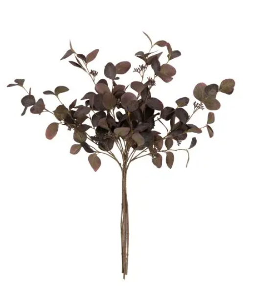 Burgundy Eucalyptus Stems 5pk