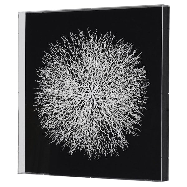 White Faux Coral Box Wall Art