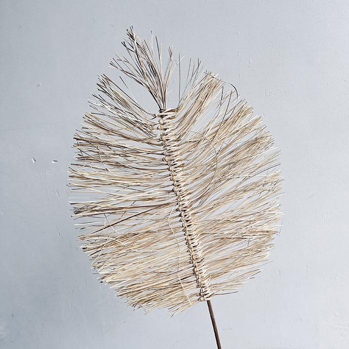 Boho Palms, Cream (single stem) 70cm