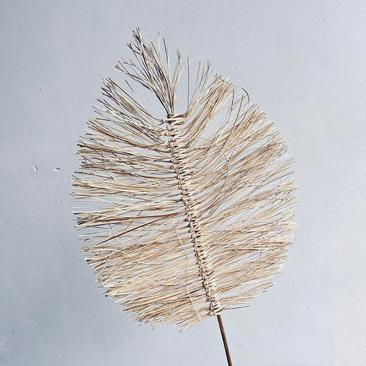 Boho Palms, Cream (single stem) 70cm