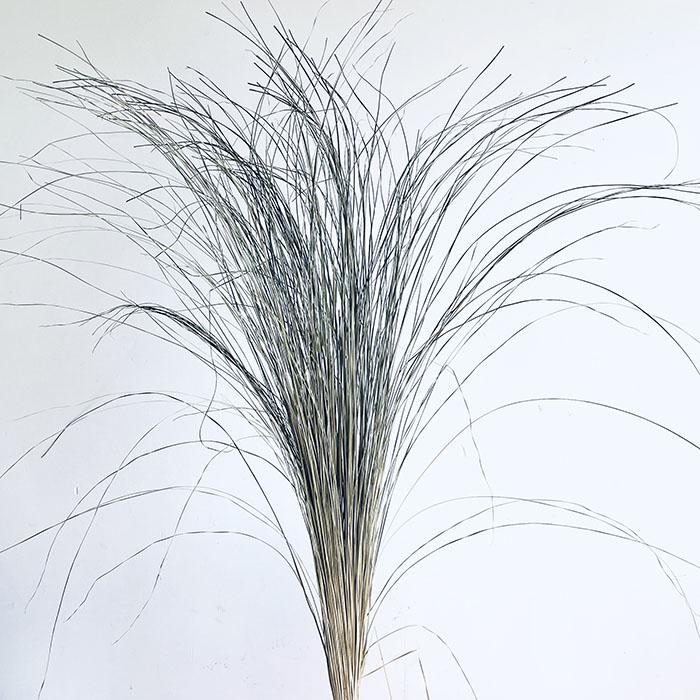 Dried Bear Grass, Natural, XL, 120-140cm
