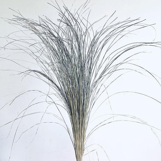Dried Bear Grass, Natural, XL, 120-140cm