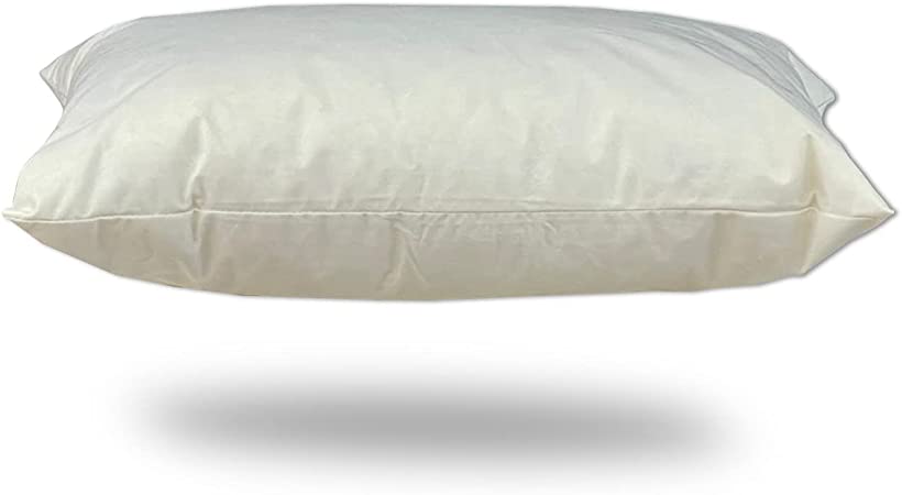 Duck Feather New White Oblong Cushion Pad Inner, 35x60cm