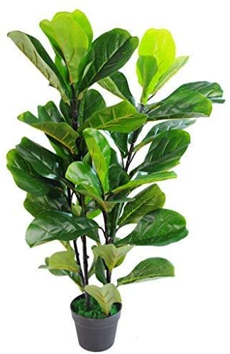 Leaf Design UK Artificial Plant Fiddle Fig Tree Black Plastic Pot, Green, 90cm