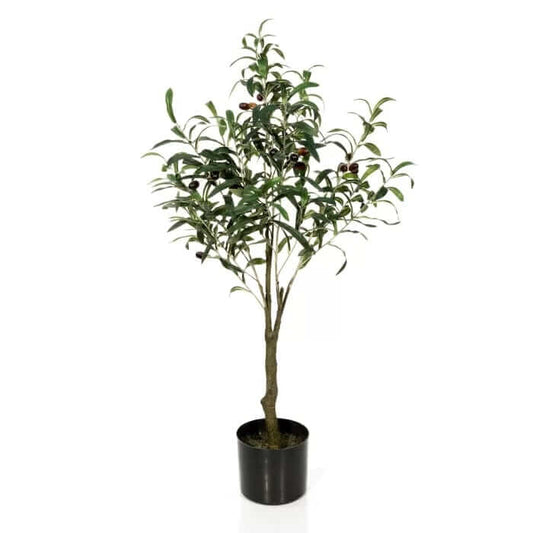 Floor Olive Tree in Pot