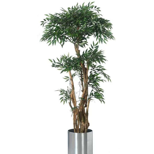 Tropical Ruscus Floor Tree