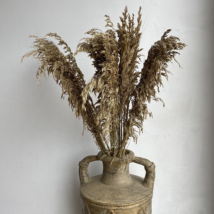 Dried Rope Grass, Natural, approx 110cm Plume 35-50cm (Ampelodesmos)
