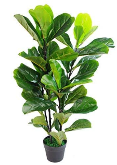 Leaf Design UK Artificial Fiddle Fig Tree Plant Black Plastic Pot, Green, 90cm