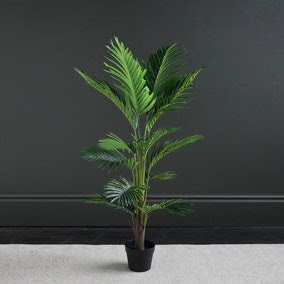 Kwai Tree 120cm