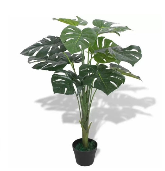 Monstera Floor Foliage Plant in Pot