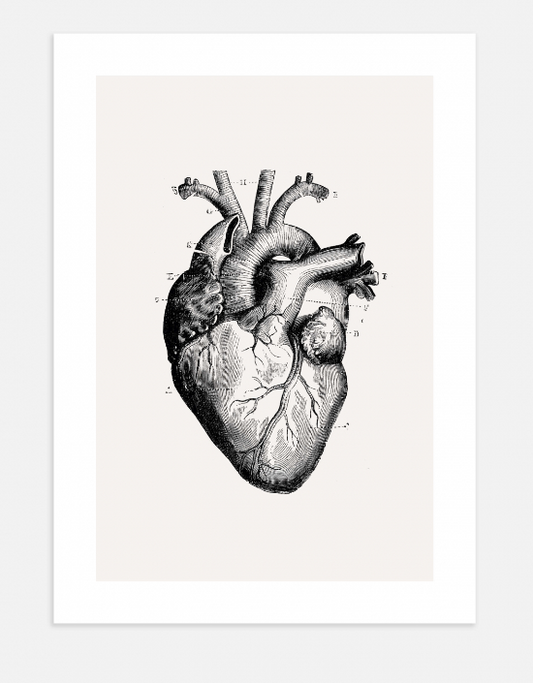 Vintage Heart Poster 40x50cm