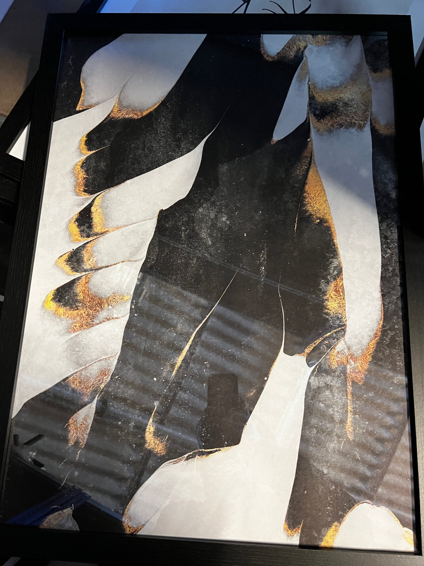 BLACK By: Elisabeth Fredriksson, 50 x 70cm, framed