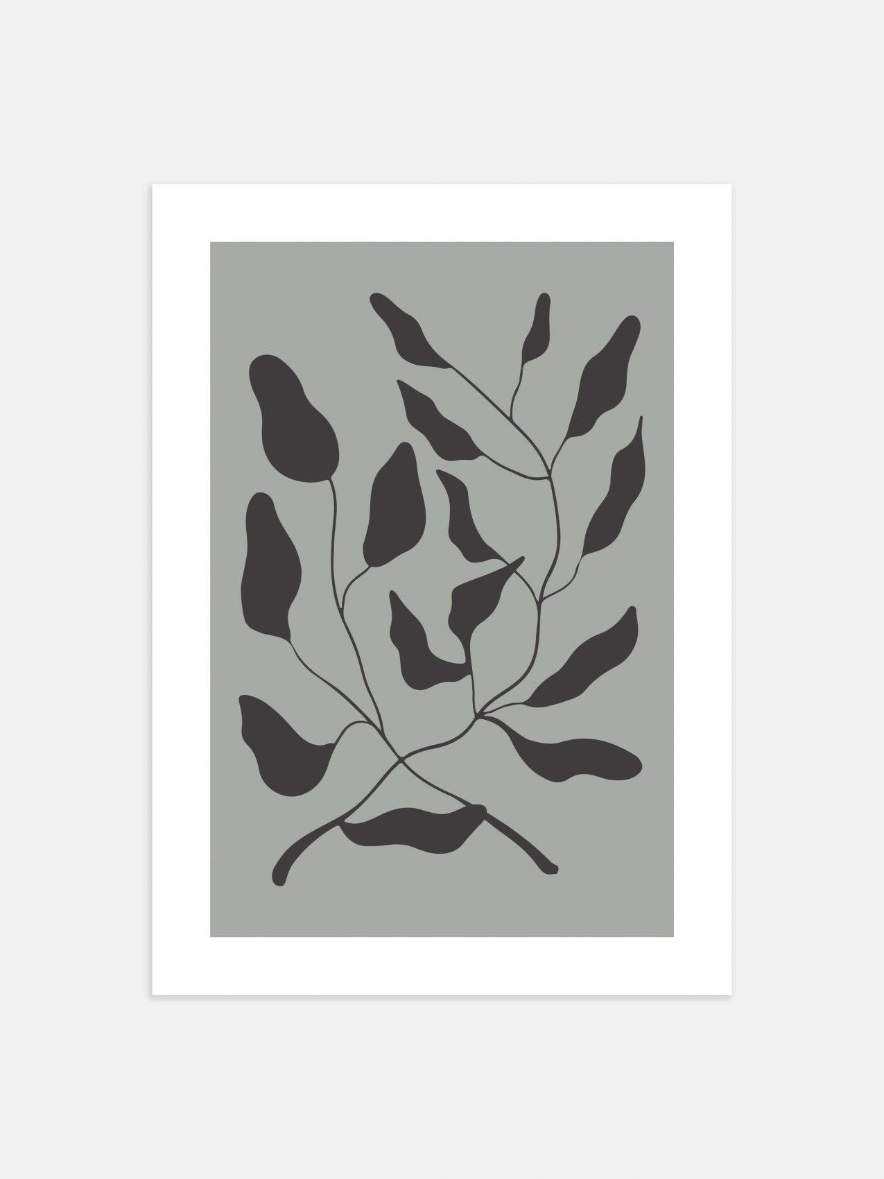 Petiole Poster 30x40cm