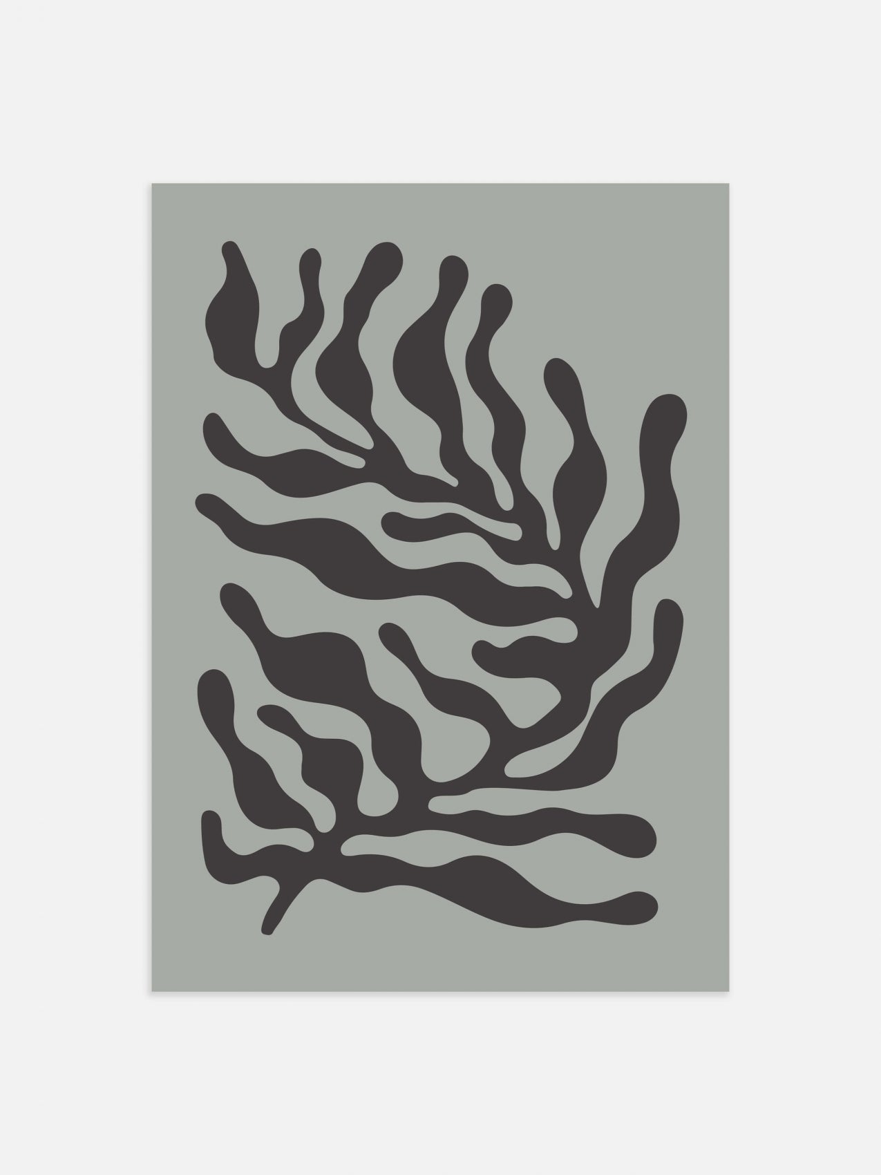 Foliage Poster 50x70cm