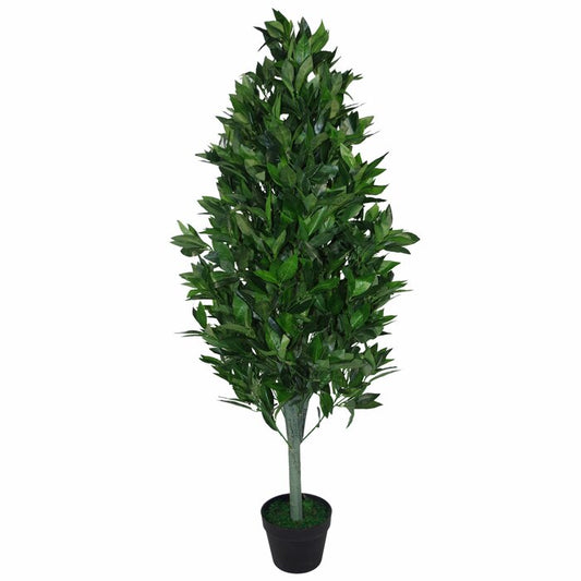 Topiary Bay Tree