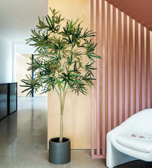 Artificial Aralia