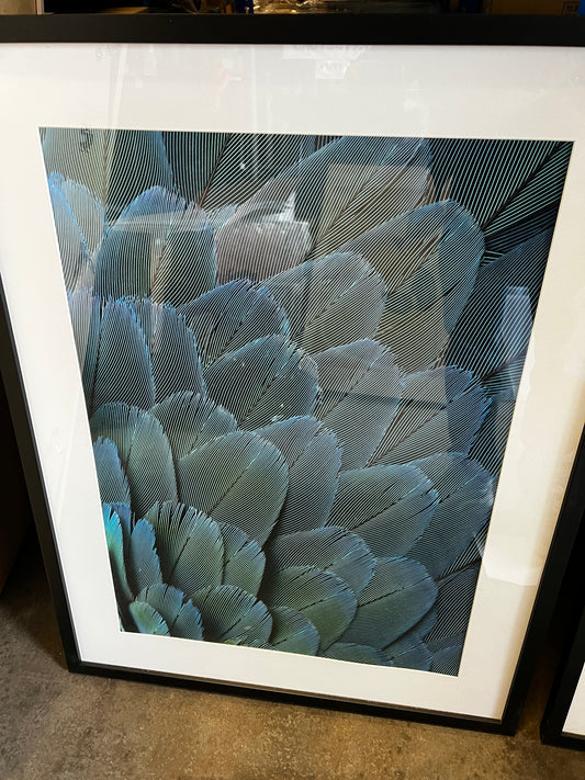 Flower Stem, 68 x 88cm, framed