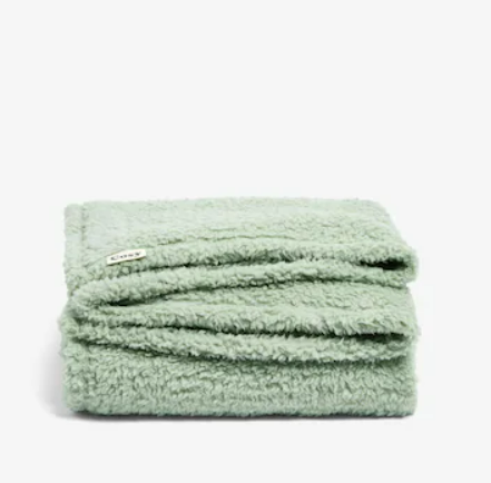 NEXT Sage Green Cosy Teddy Fleece Throw