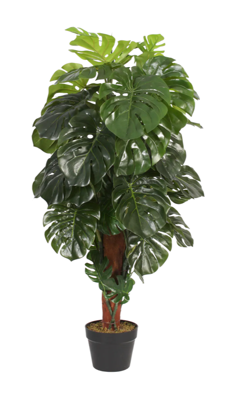 Artificial cheese plant, 120cm