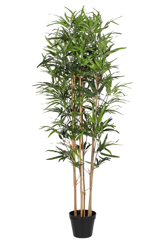 Artificial oriental bamboo