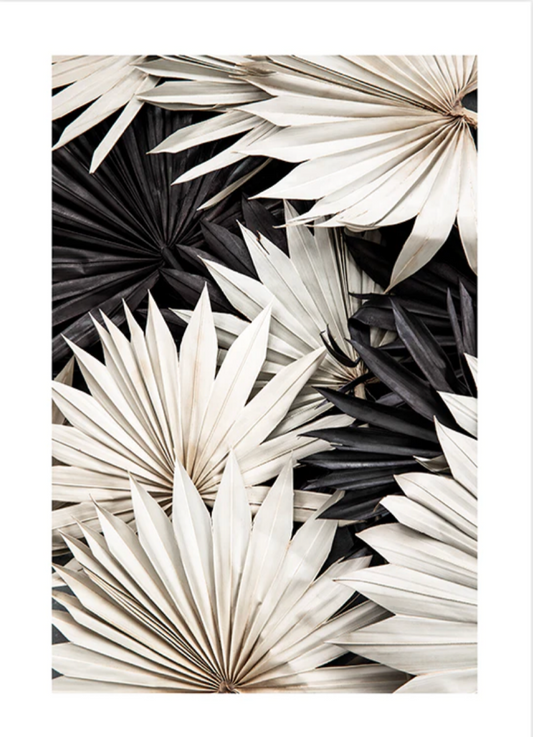 Contrasting Palm Poster 