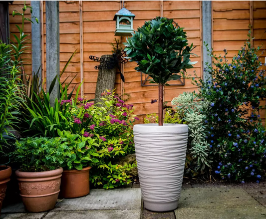 Sankey 38cm Arizona Stone Planters