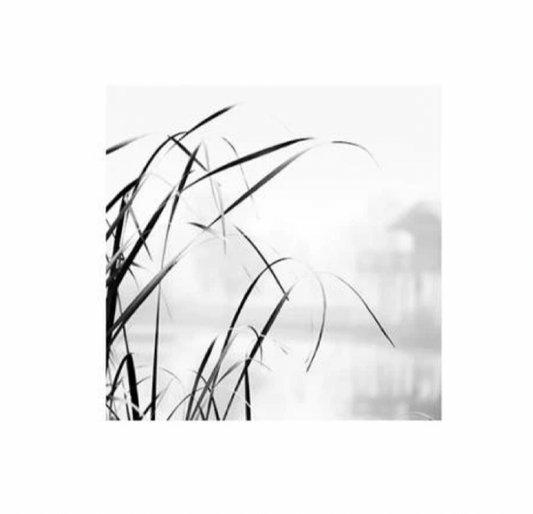 High Grass Poster 