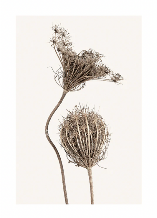 Boho Flowers Poster 