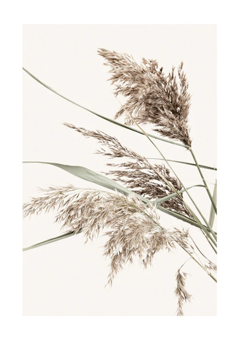 Boho Grass Poster 