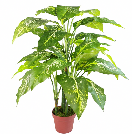 Leaf 100cm Large Fox's Aglaonema