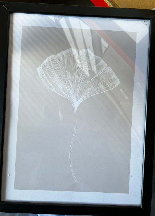 Translucent Flower, 30 x 40cm, framed