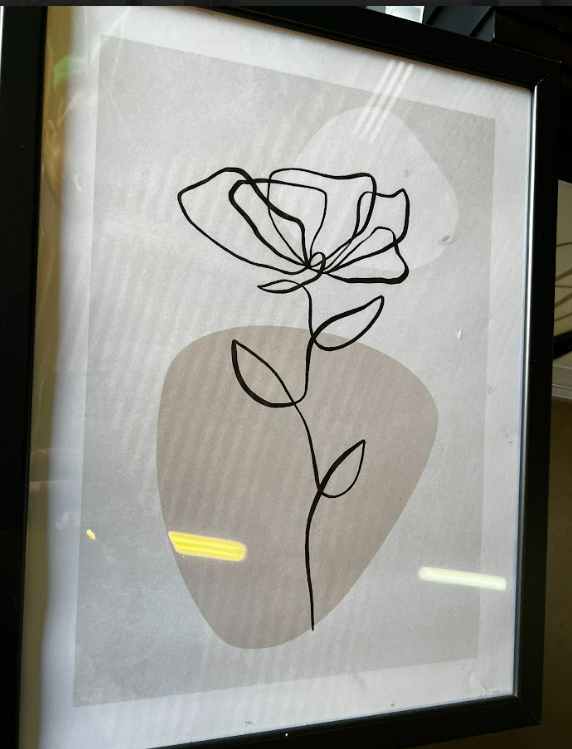 BOTANICAL LINES NO1, 30 x 40cm, framed