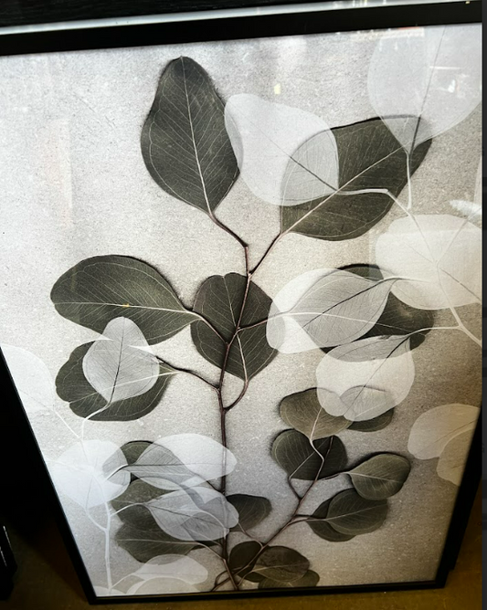 EUCALYPTUS ART NO1, 50 x 70cm, framed