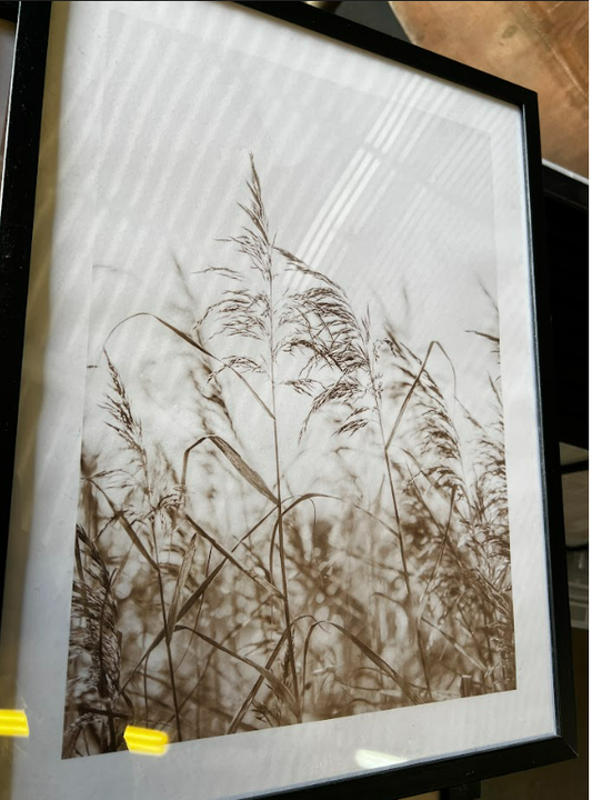 DRIED GRASS ON FIELD NO3, 30 x 40cm, framed