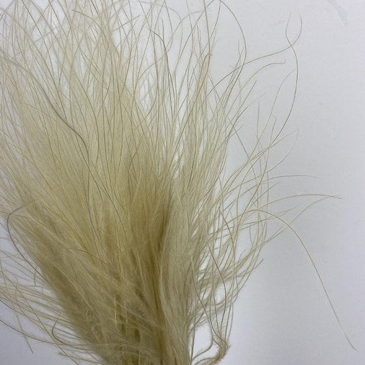 Dried Feather Grass, Natural, (x10 pre-tied mini bunches) 50-65cm