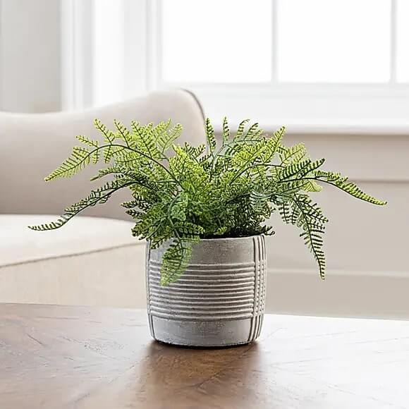 Artificial Fern Green in Concrete Pot 23c