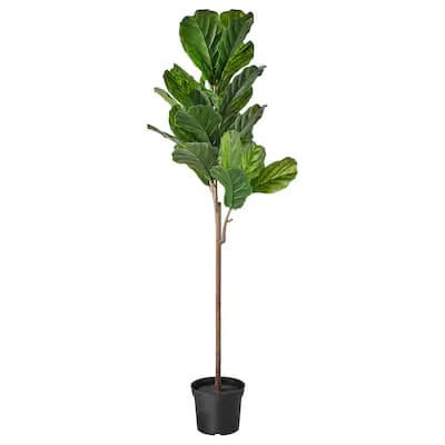 FEJKA artifi pttd plant 19 in/out fiddle-leaf fig