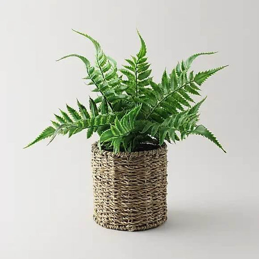 Artificial Fern Green in Rattan Pot 30cm