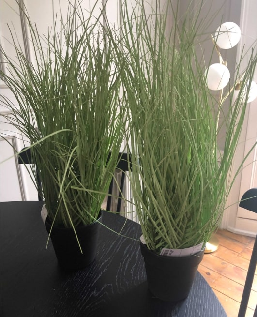 Artificial Plant