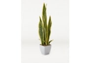 Artificial Snake Plant In Pot
