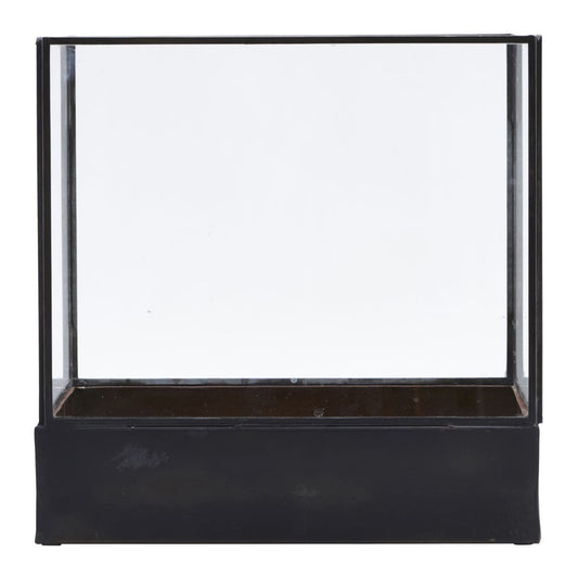 Display box, Plant, Black antique