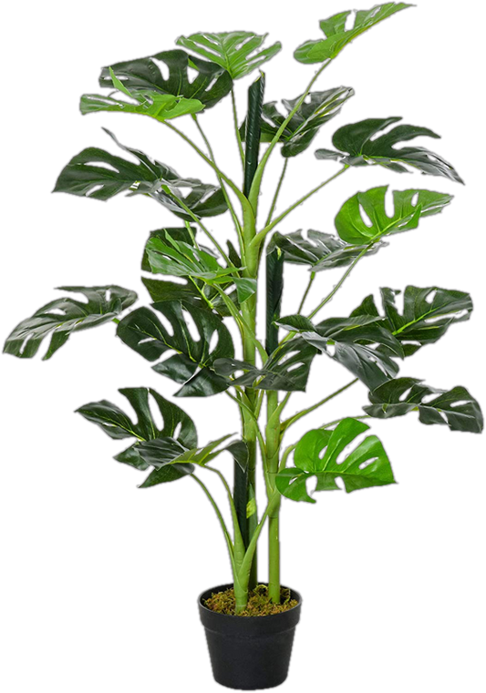 Charleston 100cm Artificial Monstera Plant in Pot by The Seasonal Aisle